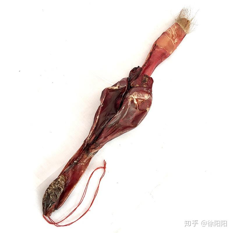 什么样的鹿鞭好