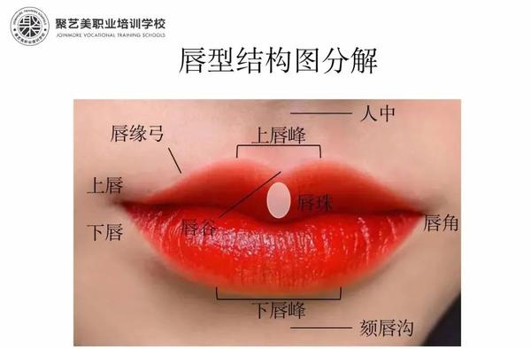 技术教学丨好看的渐变唇如何配色、操作?纹绣师速度学起来! - 知乎