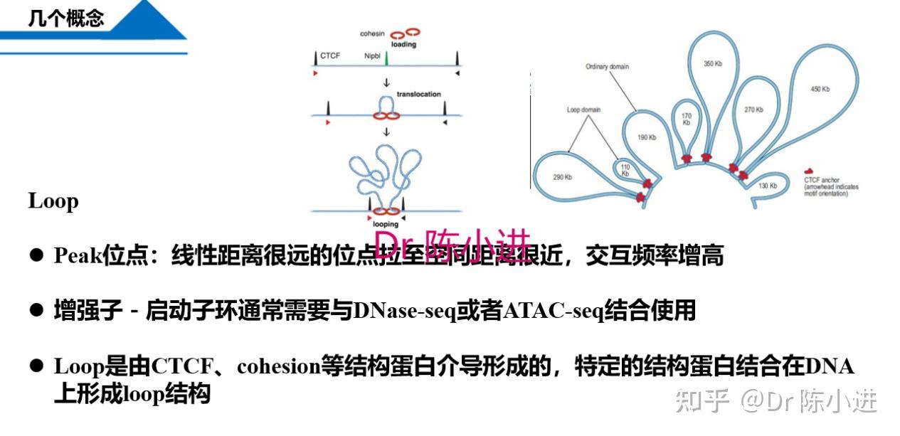 求讲解，有生信大佬能看懂这个图吗？ - 知乎
