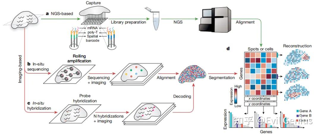 10X空间转录组重点分析合集3 - 知乎