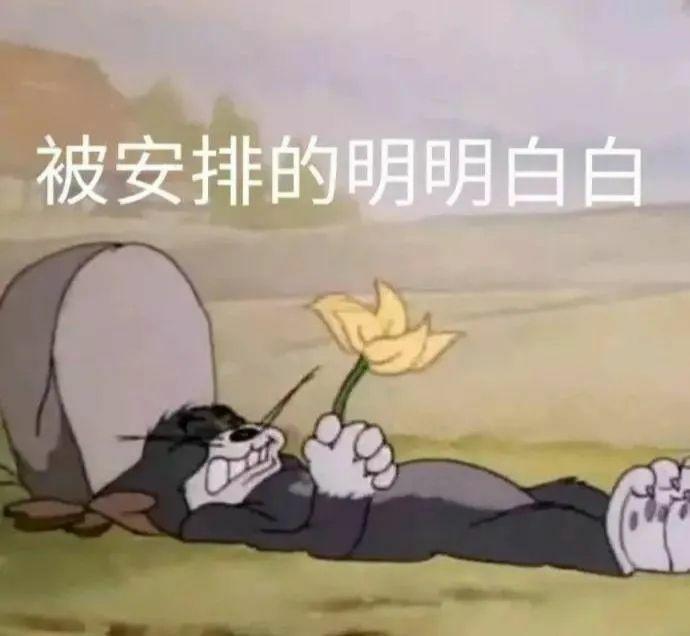 姐妹沙雕睡觉文案短句,姐妹沙雕睡觉文案短句图片