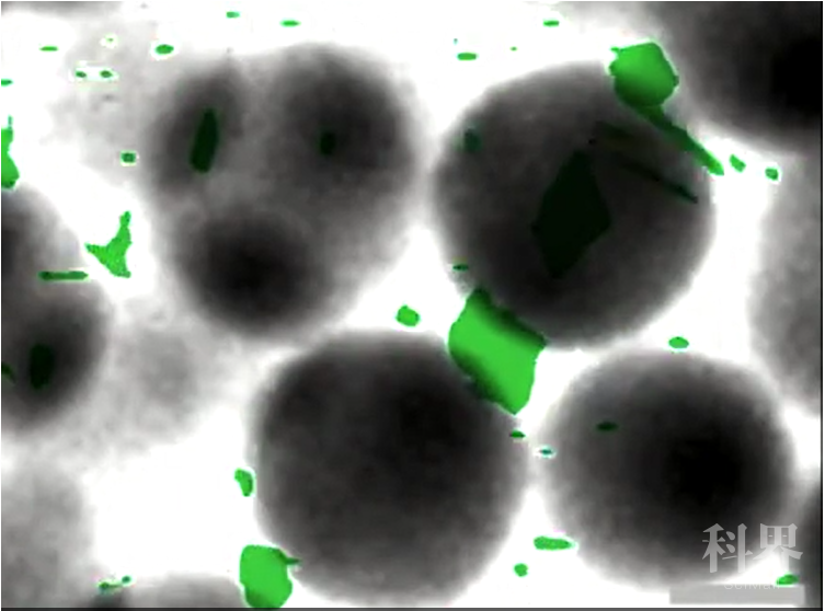 v2-0f2a92b865b5cf0f882738608bb209a4_1440w.jpg?source=172ae18b