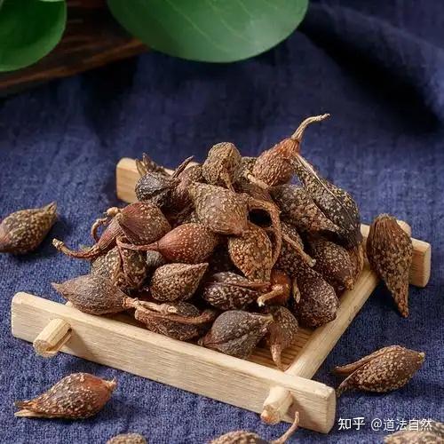 连翘的功效与作用有哪些？ - 知乎