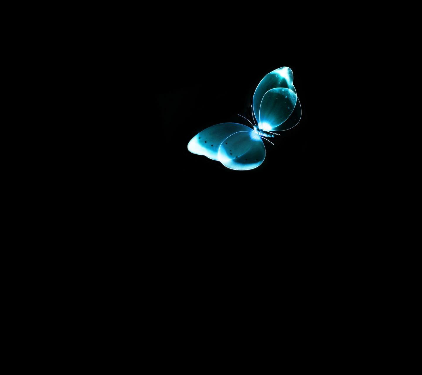 有哪些适合做手机壁纸的黑底色图片? - 知乎