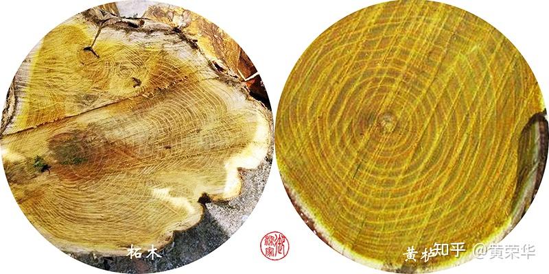 中国传统色:柘黄 - 知乎