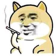 古月法师