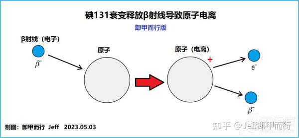 13-09:碘131治疗甲状腺癌的原理和生物机制 - 知乎