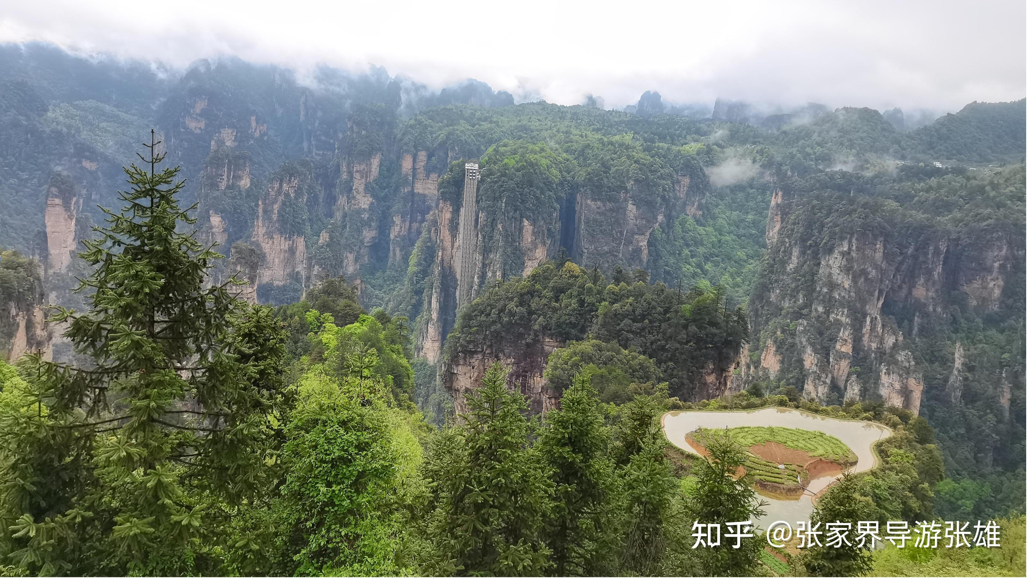 张家界3天2晚游玩攻略，张家界3日游多少钱，怎么玩好！去张家界旅游私人定制3日游怎么安排的 - 知乎
