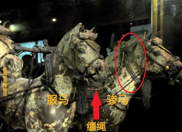 为何四马拉车能并驾齐驱而不会各奔东西?秘密就在这件国宝中 - 知乎