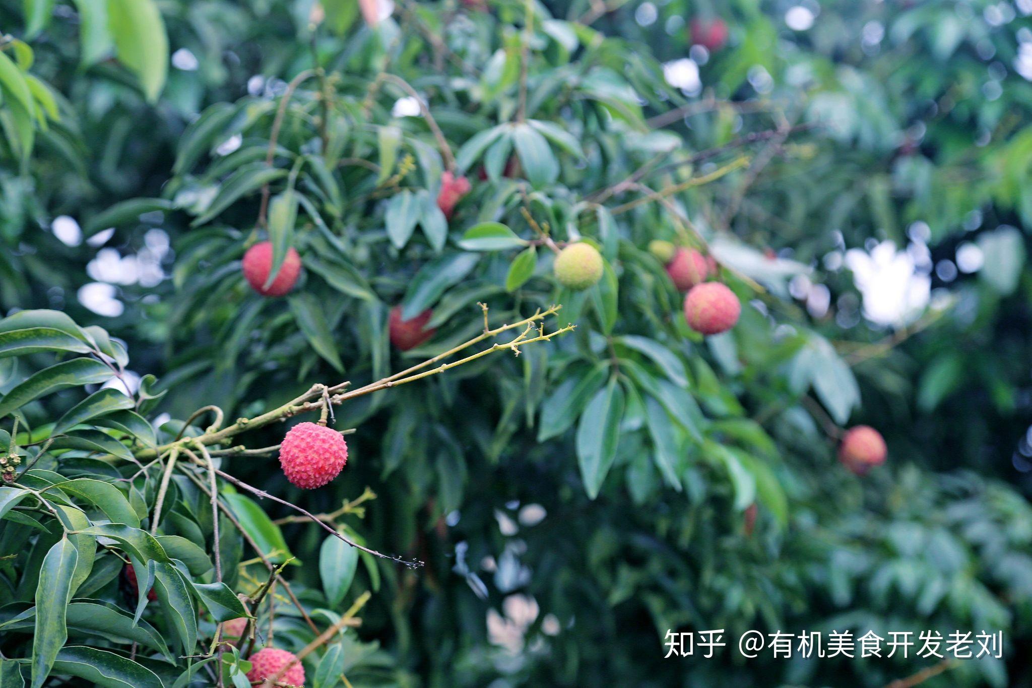 v2-0f5e687a813b4c25872f519410cf2eb0_r.jpg