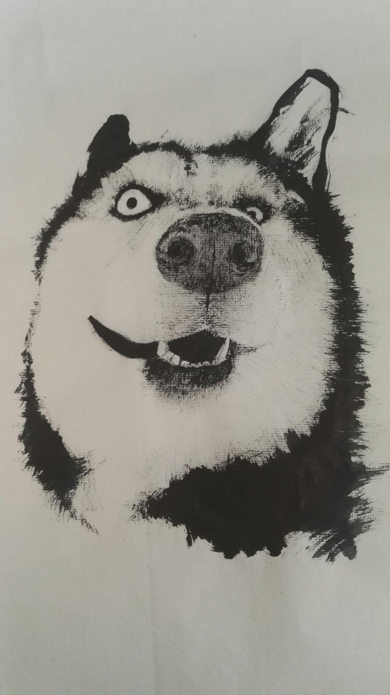 国画怎样画哈士奇