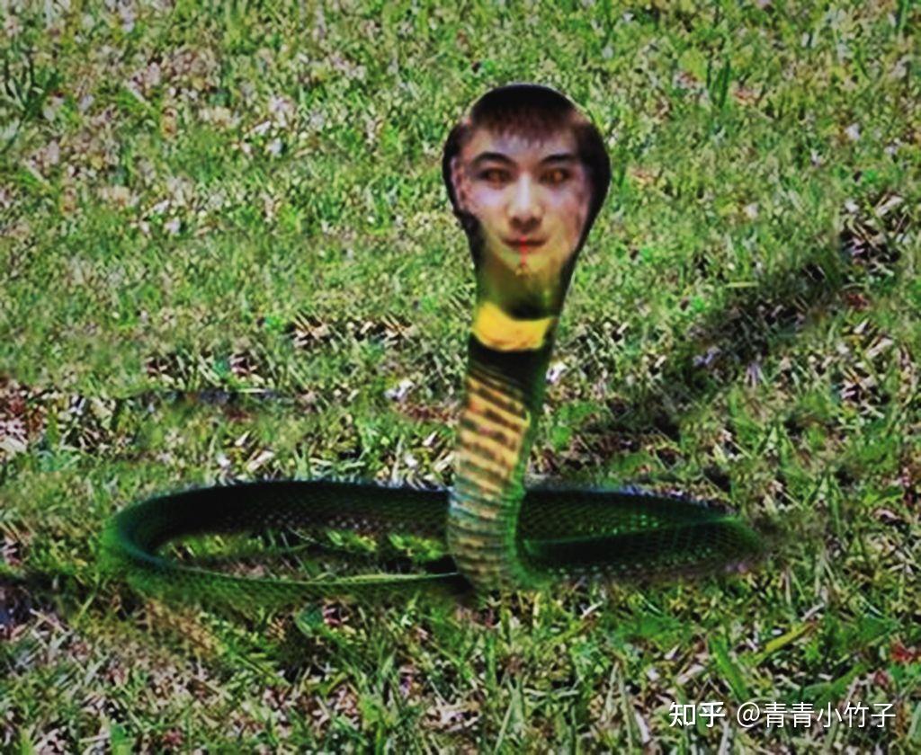 为什么古今中外都流传着人头蛇身的神灵形象