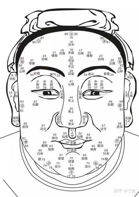 易经面相学各种眉毛图片