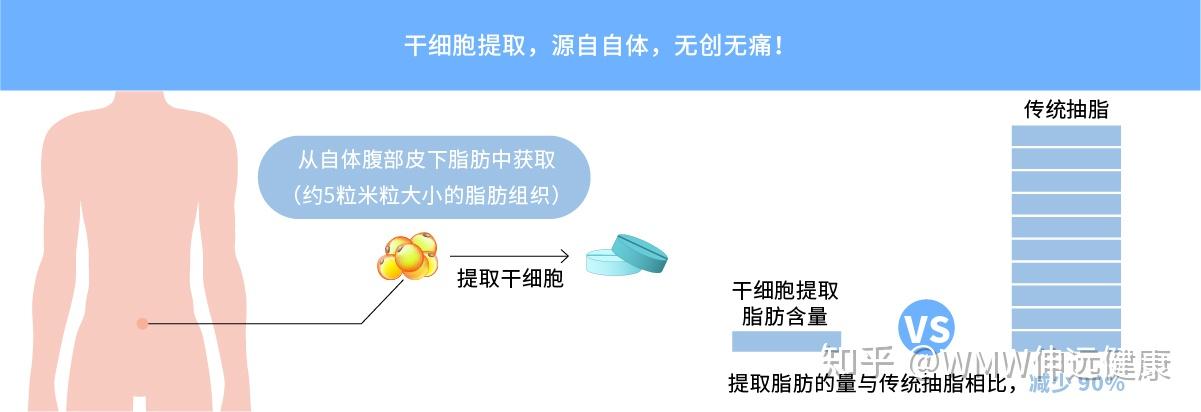 都更接近骨源干细胞;产量高,分离方法简单易于分离,培养,扩增和纯化