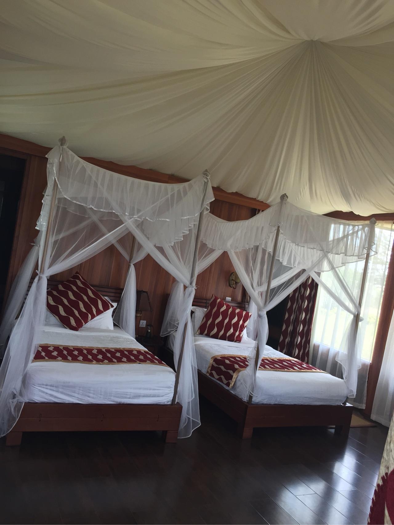 去肯尼亚旅行是一种什么体验?