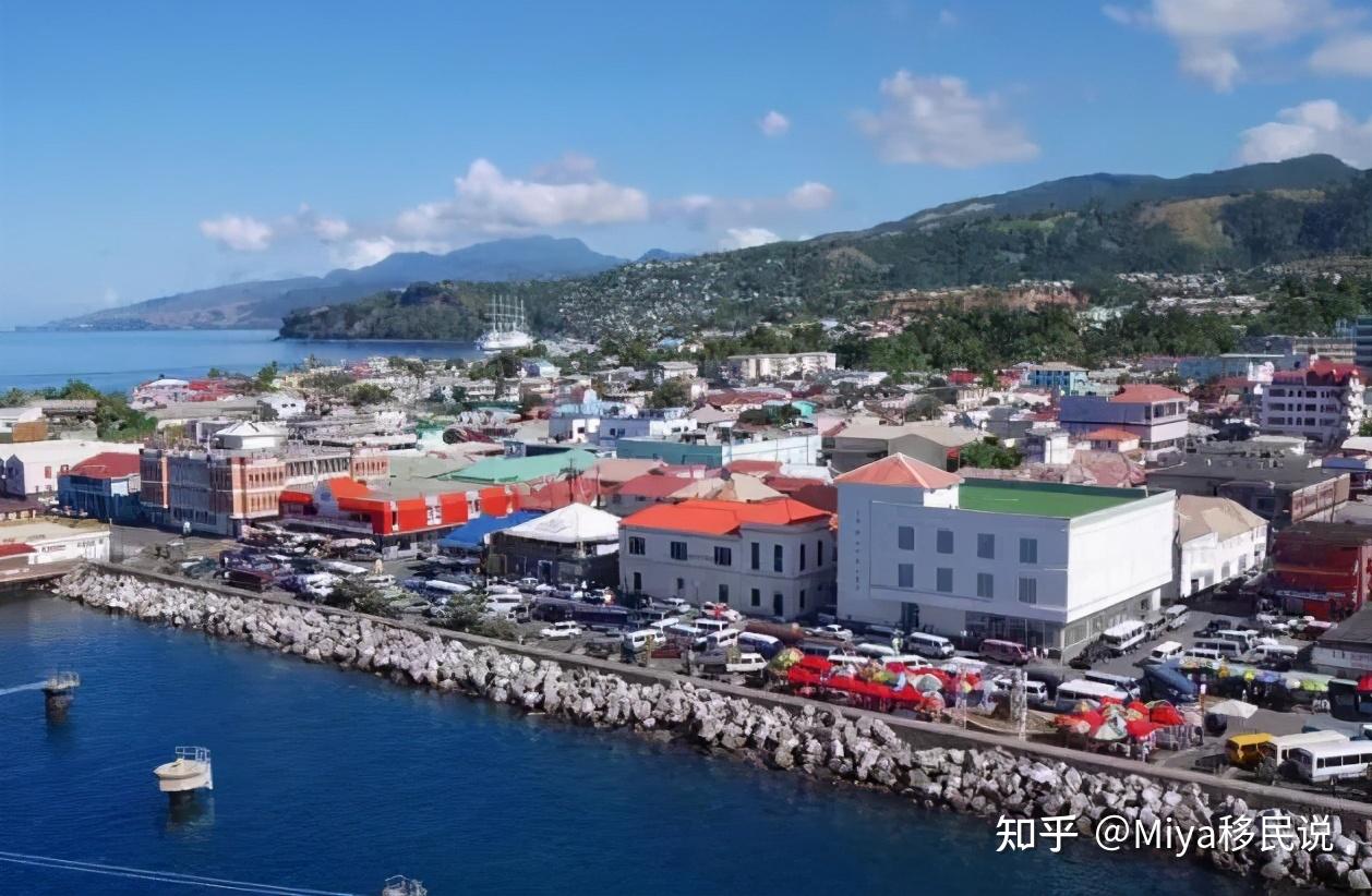 平价却不平庸的多米尼克你了解多少呢