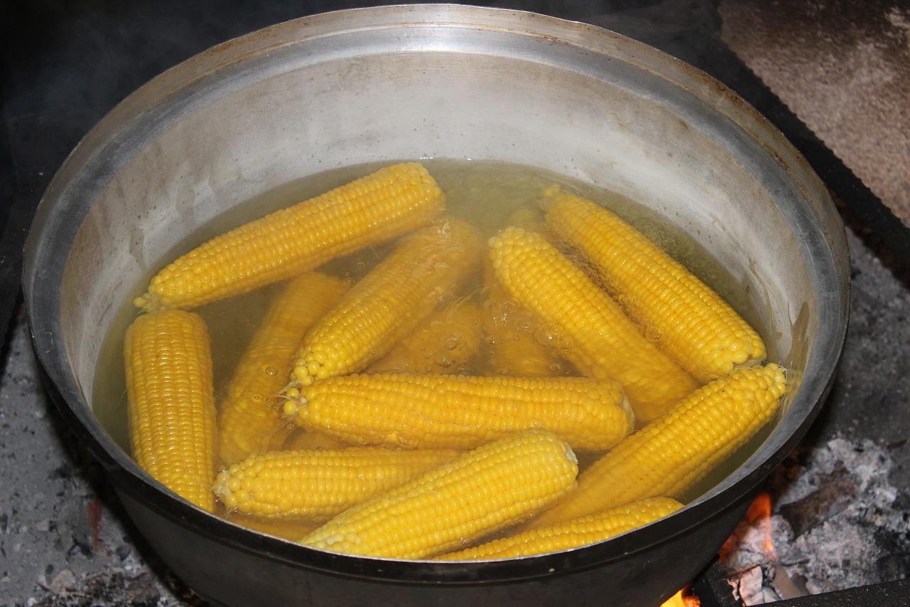 天然气灶价格多少钱