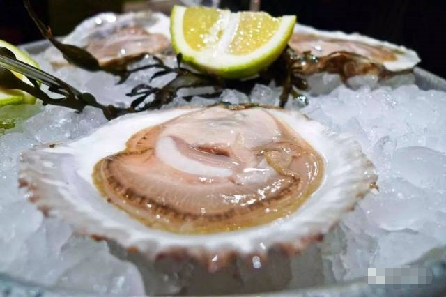 “生蠔之王”布列塔尼-贝隆生蠔 King of Oyster-Huître Belon de Bretagne（之三) - 知乎