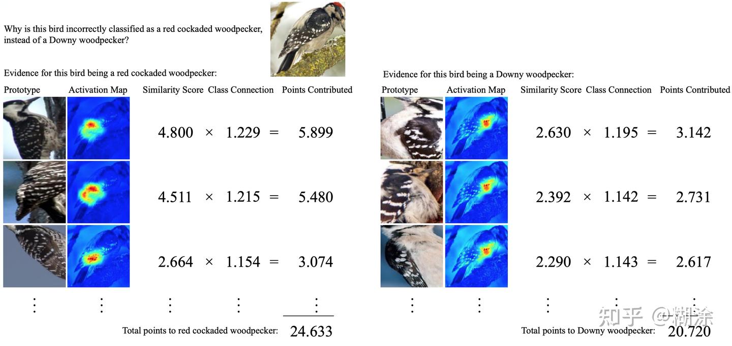 This Looks Like That: Deep Learning for Interpretable Image Recognition ...