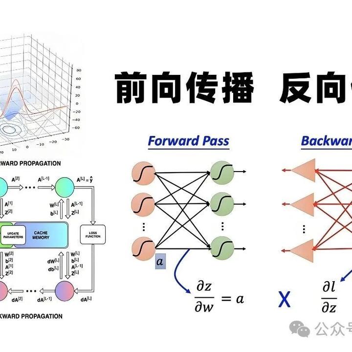 一次搞懂PyTorch中的前向传播、反向传播和计算图 - 知乎