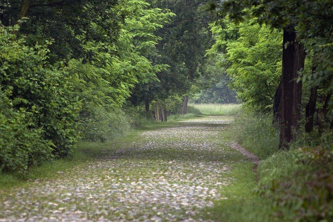 3. 到达石榴湾攻略