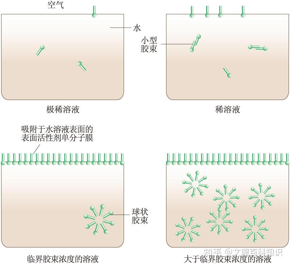 表面活性剂示意图图片