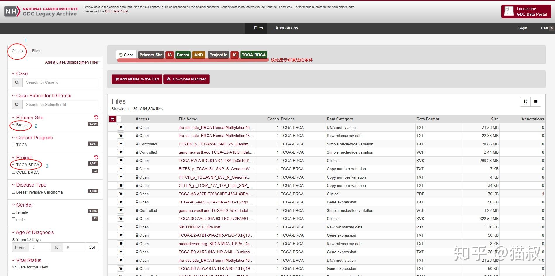 identification of issocs testout pc pro