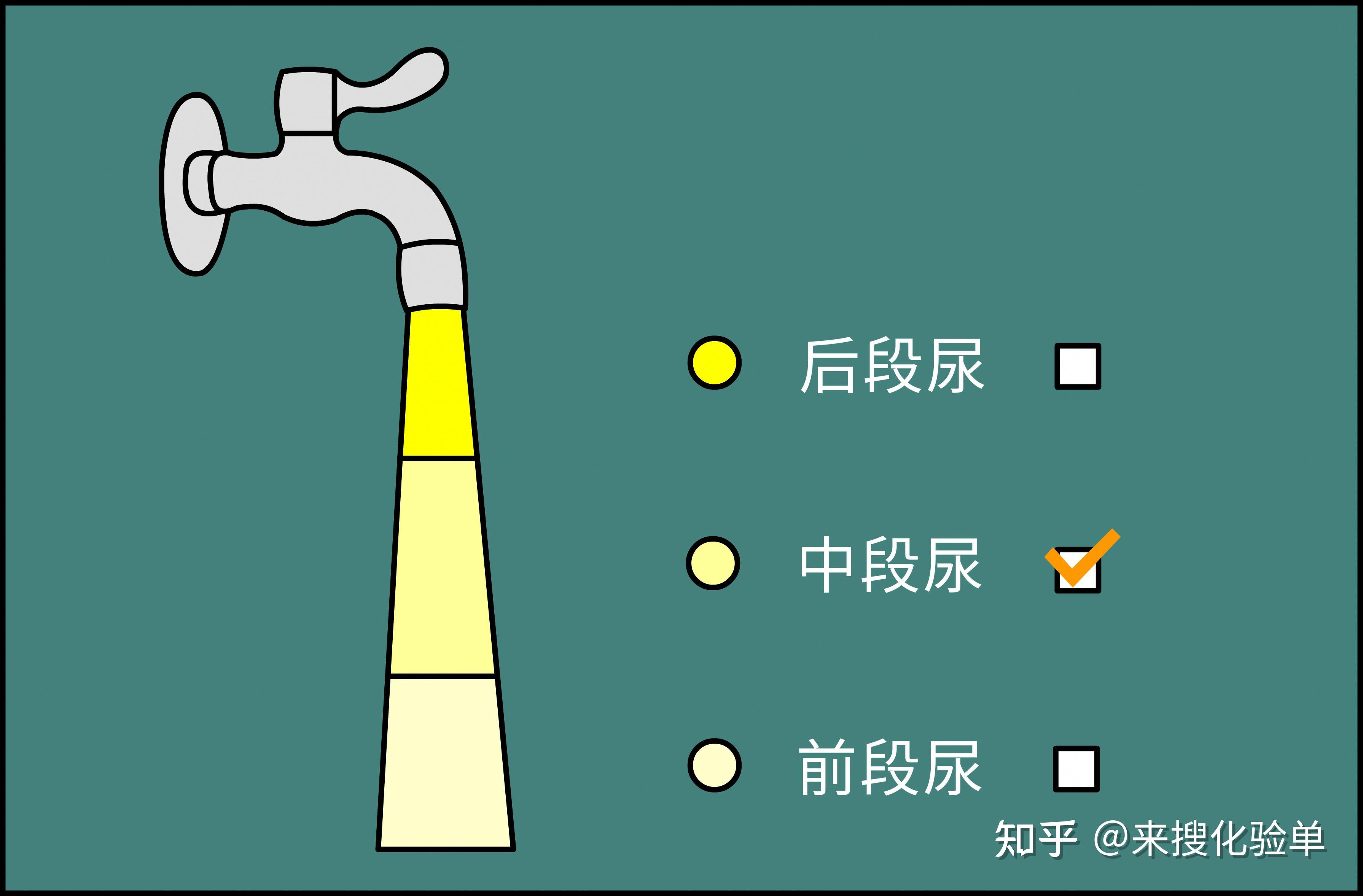 各种颜色尿液形成原因及临床意义汇总__中国医疗