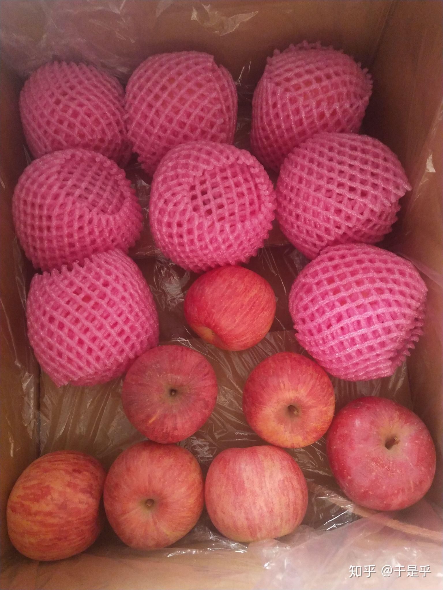 苹果批发赚钱吗现在还能做吗知乎