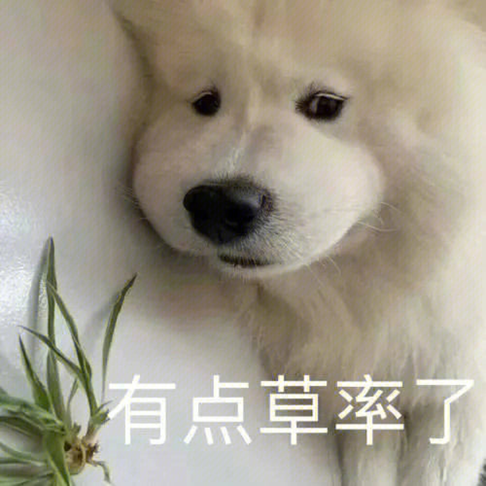 2022英国最受欢迎的英文名出炉！这个名字26年首次掉出前十！ - 知乎