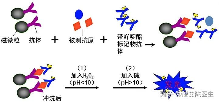 anti化学发光法检测抗体的是几代检测这种检测要几周排除感染hiv
