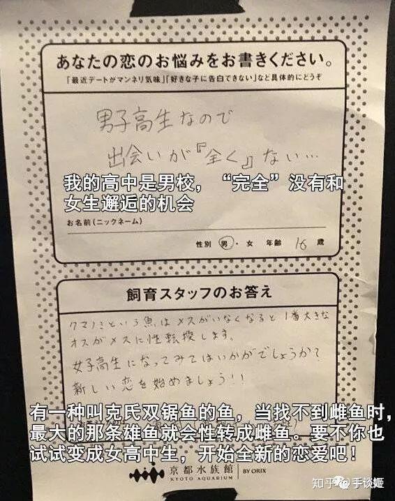 殖民全宇宙 这款模拟文明进化的单机游戏竟然可以玩好几个月 知乎