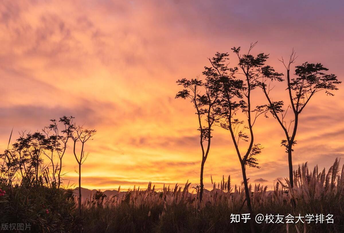 江苏海洋2020录取分数线_江苏海洋大学的分数线_2023年江苏海洋大学录取分数线(2023-2024各专业最低录取分数线)