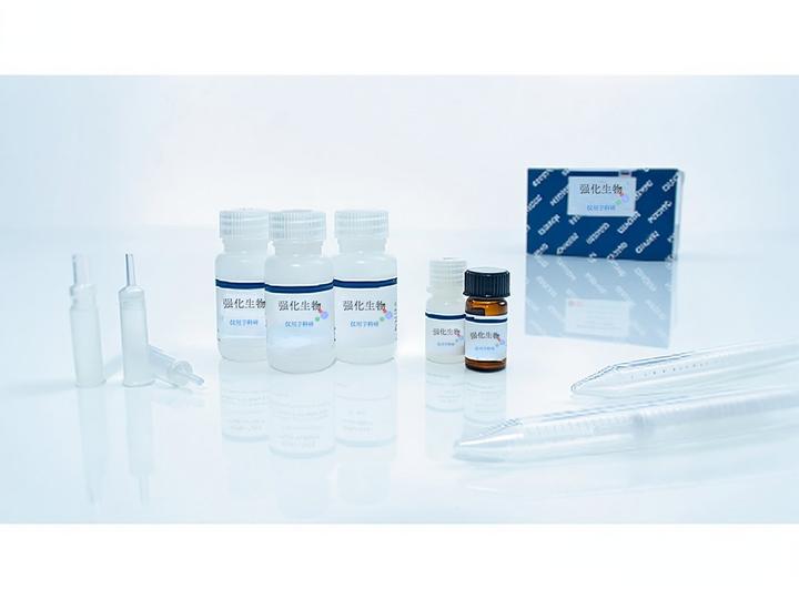 深度解析iFluor 488 鬼笔环肽的基本特性和应用领域 - 知乎