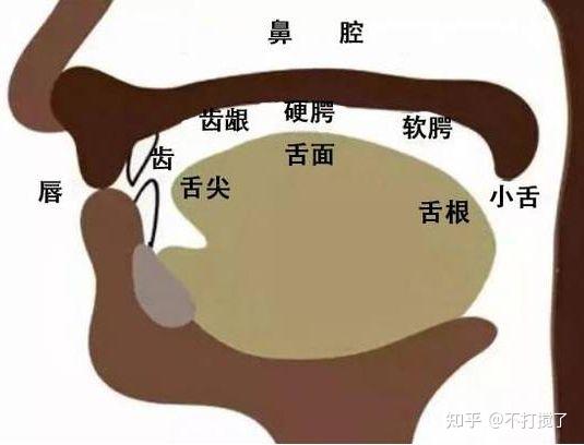 学唱歌必备的发声要领口诀