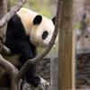 一个无聊的人