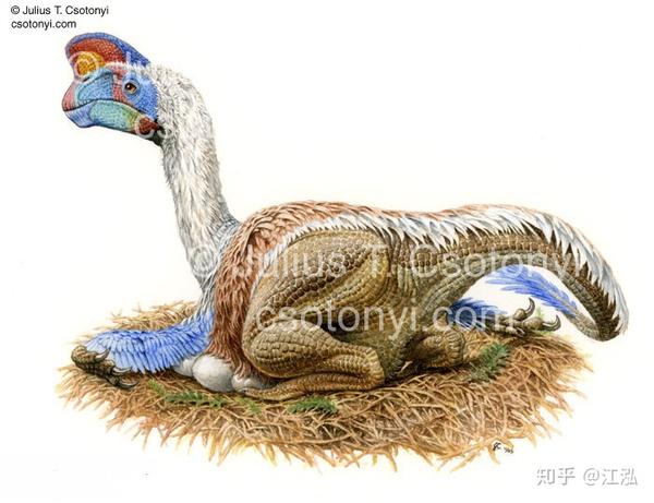 我们终于抓到了那个偷恐龙蛋的贼