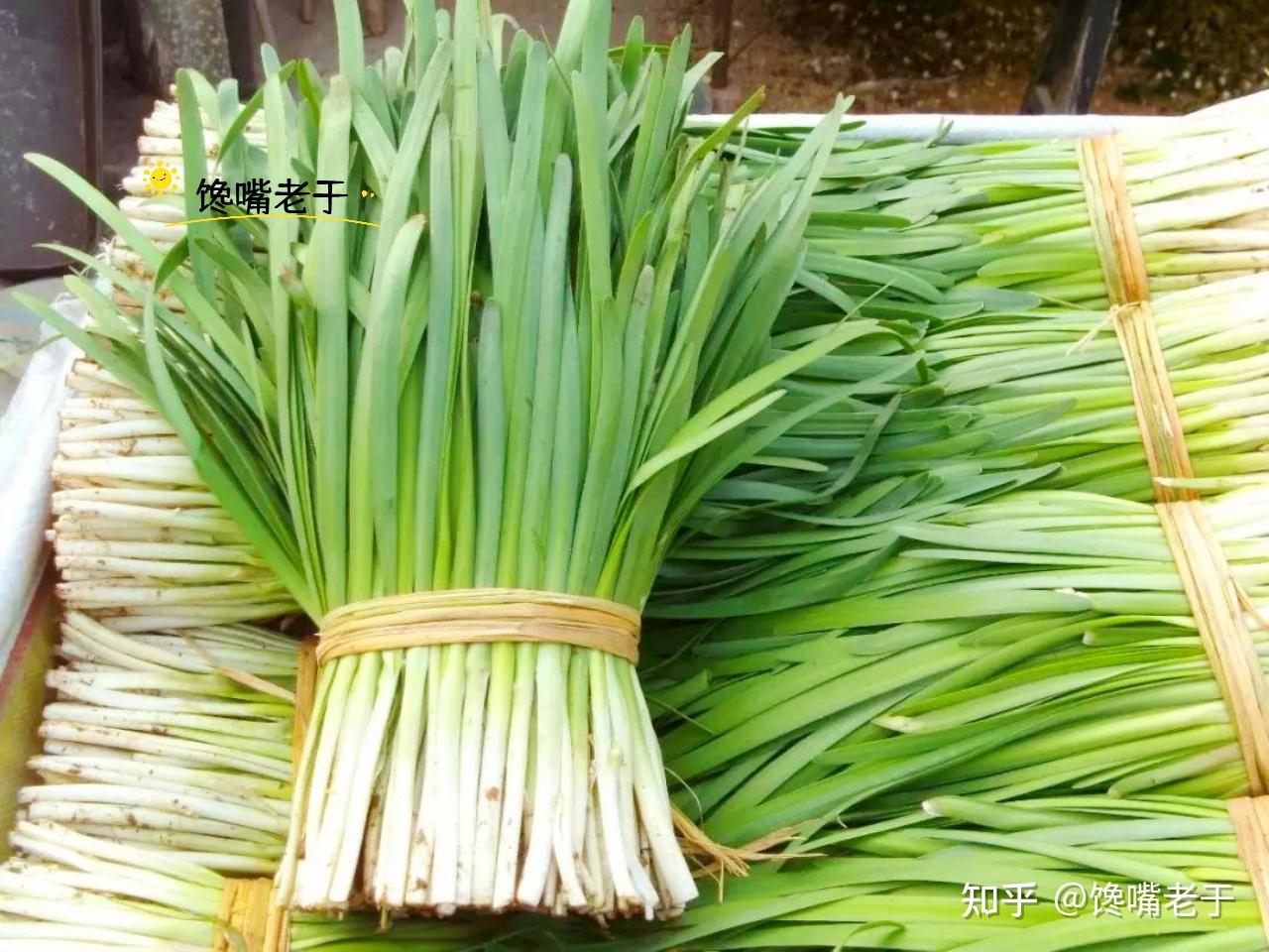 买春韭时,要分清“宽叶”和“细叶”区别挺大,买错嚼不烂还烧心 - 知乎