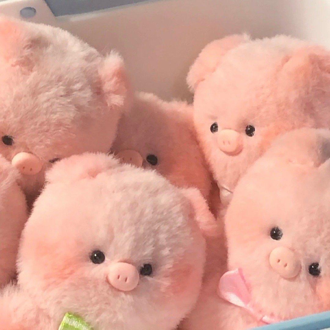 你有哪些可爱的微信朋友圈背景图