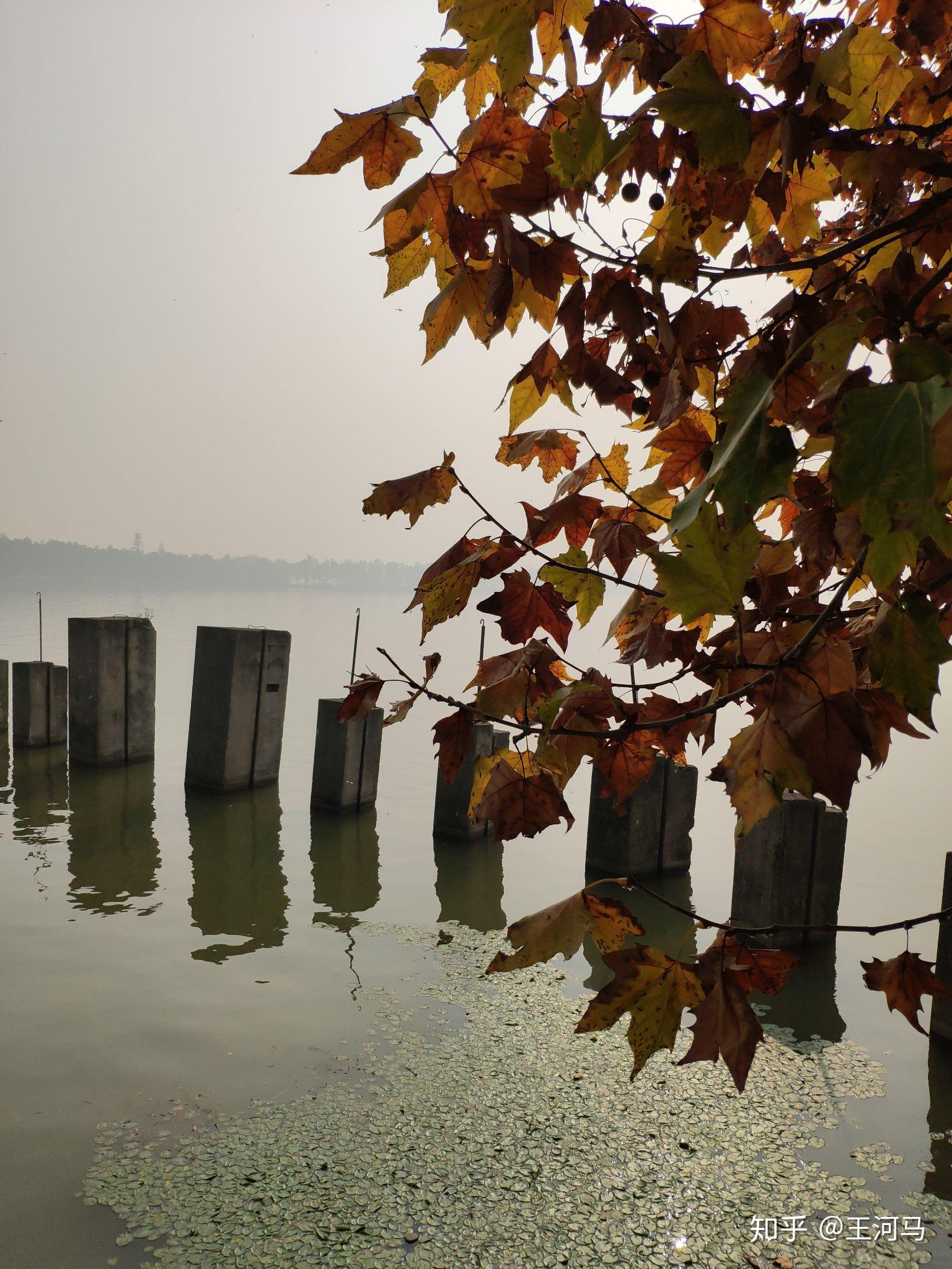 武汉有哪些旅游景点值得你去?