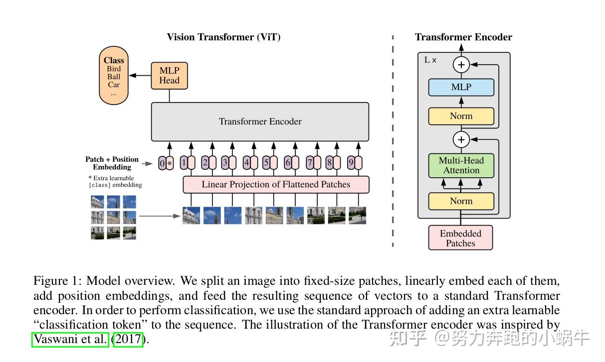 Open-mmlab/mmsegmentation-backbone7-Vision Transformer - 知乎