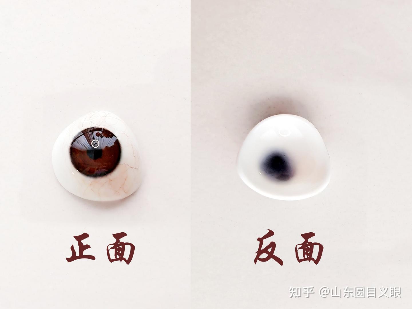义眼片和义眼台有什么区别?是同一个意思吗？ - 知乎