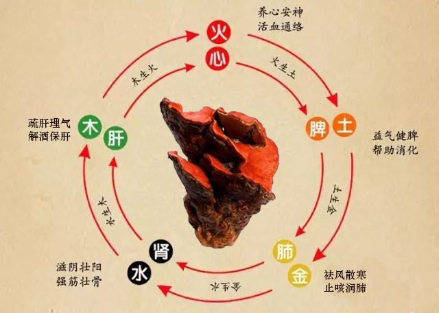 或西方医学只注重局部病症的治疗,应用范围非常广泛,补益全身五脏六腑