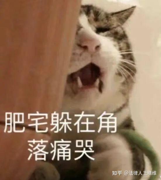 晓维说法硕 5之际 新垣结衣结婚了 知乎