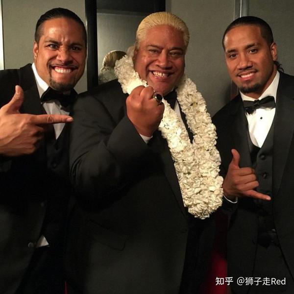 anoa-i-family
