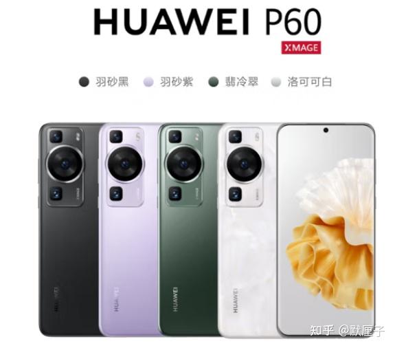  p60 p60pro p60art 