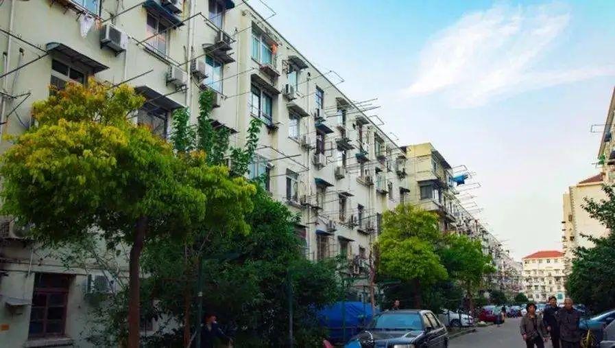 袋鼠避坑虹口凉城还要凉很久