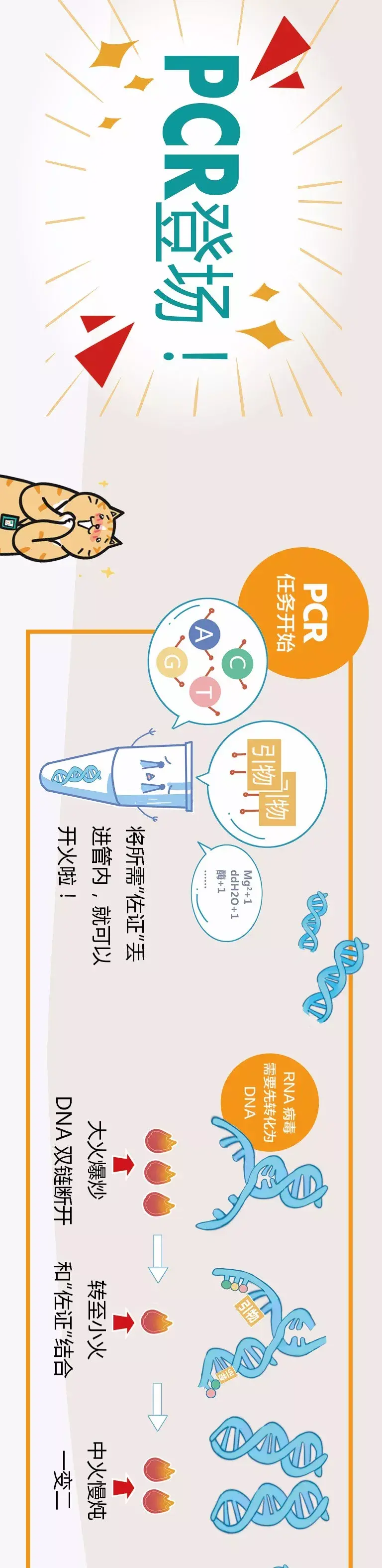 一张图看懂PCR到底干了些什么 - 知乎