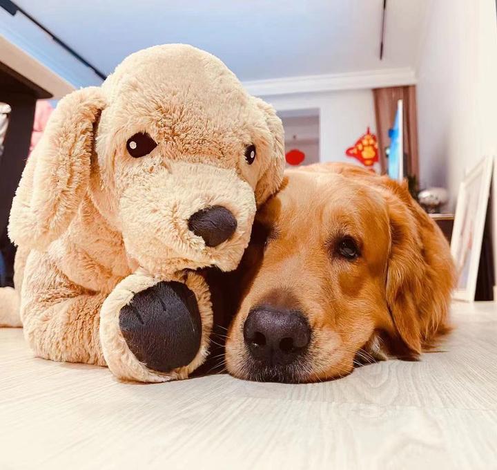 忙忙叨叨 絮絮叨叨 知乎