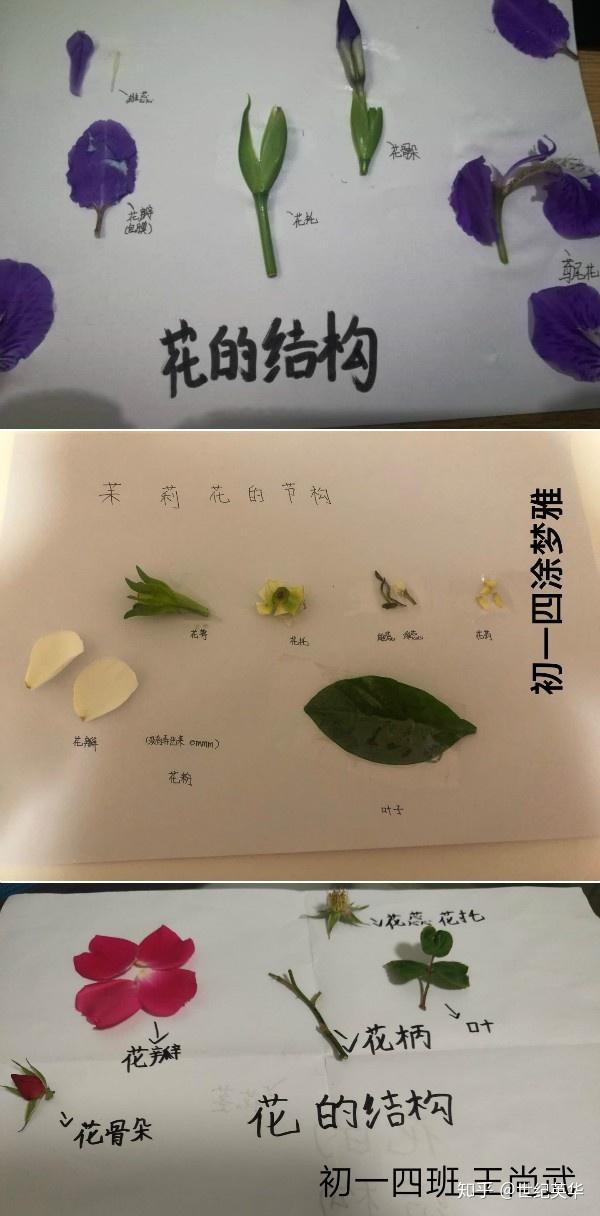 我与春天有个约会 走进春天 亲近自然 花开季节 知乎